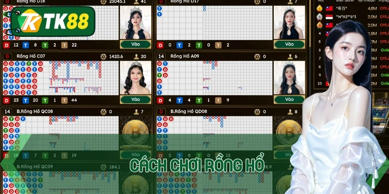Cách chơi rồng hổ