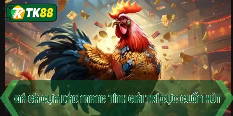 Đá gà cựa dao mang tính giải trí cực cuốn hút