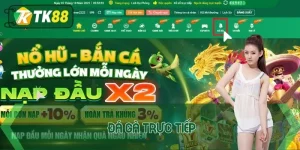 Đá gà trực tiếp
