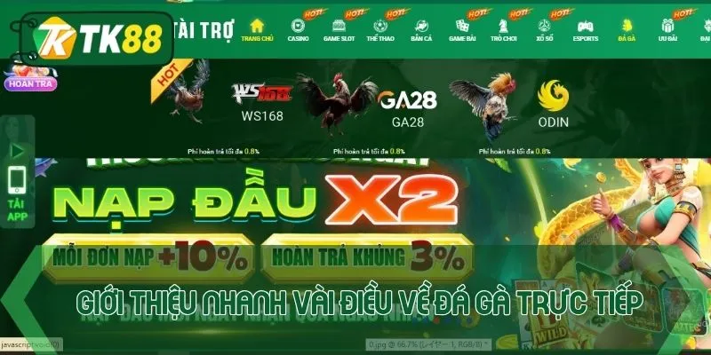 Giới thiệu nhanh vài điều về đá gà trực tiếp