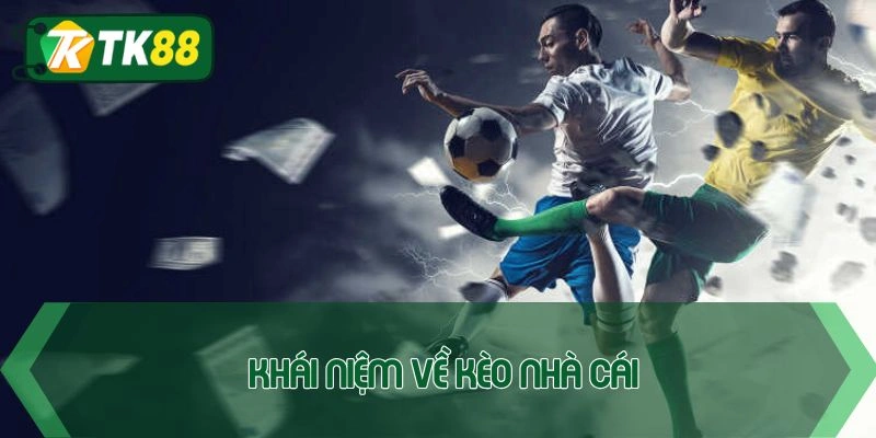 Khái quát sơ lược về tỷ lệ nhà cái