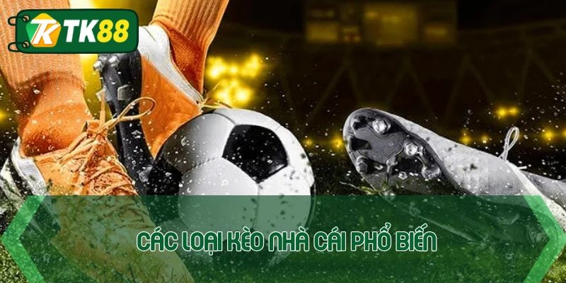 Các hình thức nhà cái thịnh hành hiện nay