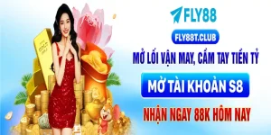 FLY88
